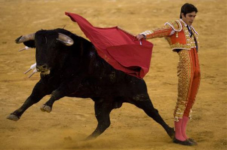 Spagna/ In 18.000 per l'ultima corrida, dal 2012 sarà proibita